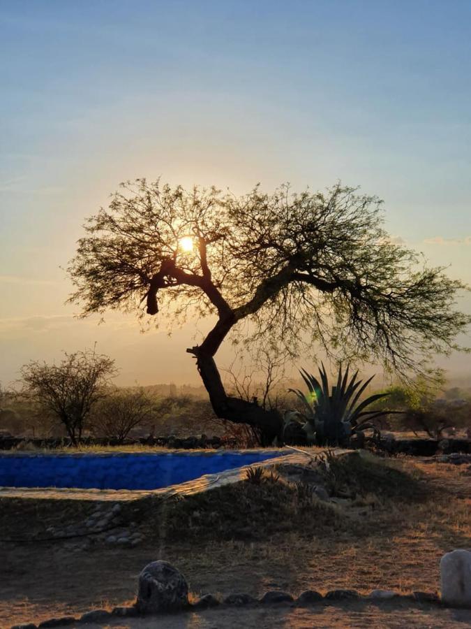 Hotel Texas Cafayate Zewnętrze zdjęcie
