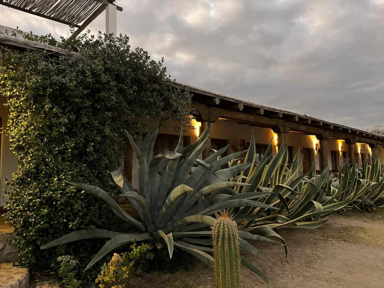Hotel Texas Cafayate Zewnętrze zdjęcie